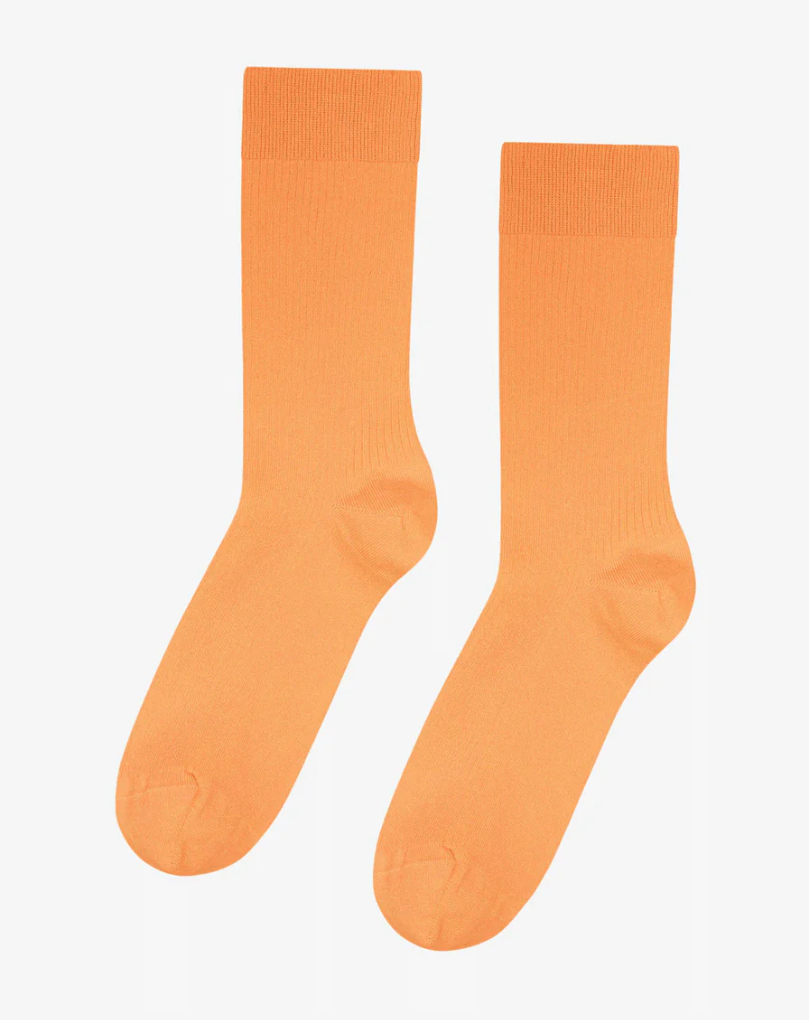 Image du produit 18