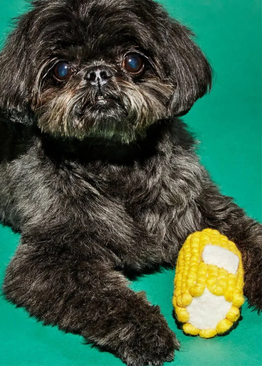 Miniature 1