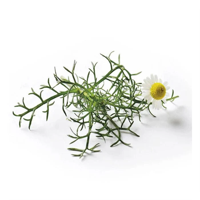 Image du produit 13